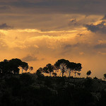 Paysage des Alpilles by Super.Apple - Les Baux de Provence 13520 Bouches-du-Rhône Provence France