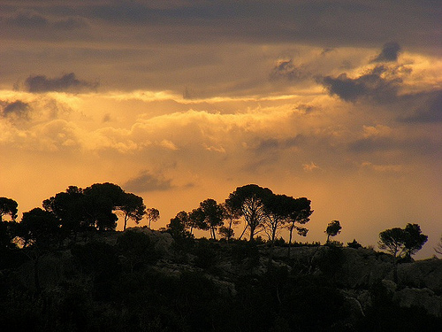 Paysage des Alpilles by Super.Apple