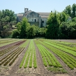 Abbaye de Silvacane par Jacqueline Poggi - La Roque d'Antheron 13640 Bouches-du-Rhône Provence France