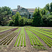 Abbaye de Silvacane par Jacqueline Poggi - La Roque d'Antheron 13640 Bouches-du-Rhône Provence France