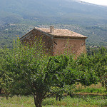 Dominé par le Mont Ventoux par Marcxela - Bédoin 84410 Vaucluse Provence France