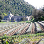 Abbaye de Sénanque by jackie bernelas - Gordes 84220 Vaucluse Provence France