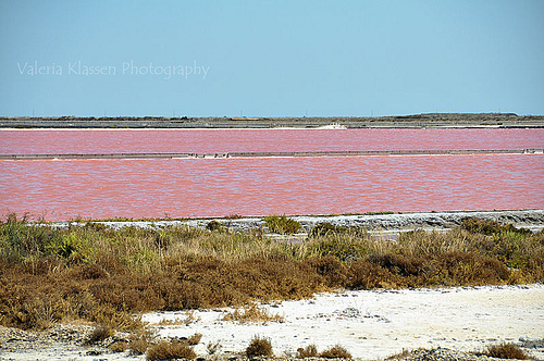 Saintes-Maries de la Mer : mer rose par L_a_mer