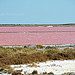 Saintes-Maries de la Mer : mer rose par L_a_mer - Saintes Maries de la Mer 13460 Bouches-du-Rhône Provence France