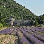 La magnifique Abbaye de Sénanque by :-:claudiotesta:-: - Gordes 84220 Vaucluse Provence France