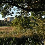 L'Abbaye de Montmajour by :-:claudiotesta:-: - Arles 13200 Bouches-du-Rhône Provence France