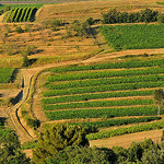 La campagne autour de Roussillon by :-:claudiotesta:-: - Roussillon 84220 Vaucluse Provence France