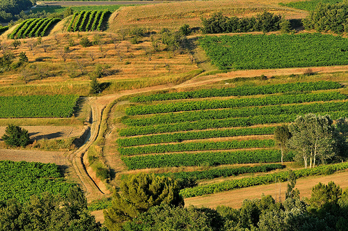 La campagne autour de Roussillon by :-:claudiotesta:-: