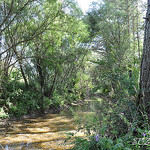 Petit ruisseau à la Roque Esclapon by SUZY.M 83 - La Roque Esclapon 83840 Var Provence France