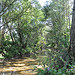 Petit ruisseau à la Roque Esclapon par SUZY.M 83 - La Roque Esclapon 83840 Var Provence France