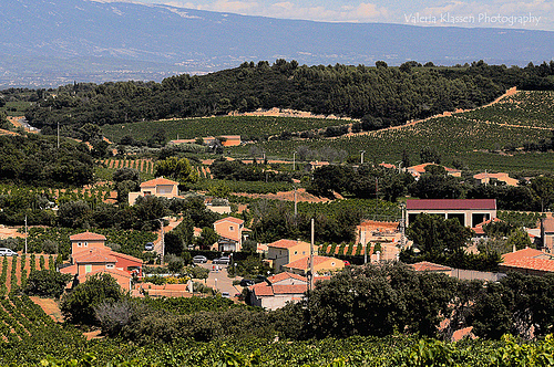 Vue sur les vignes depuis Chateauneuf du Pape by L_a_mer