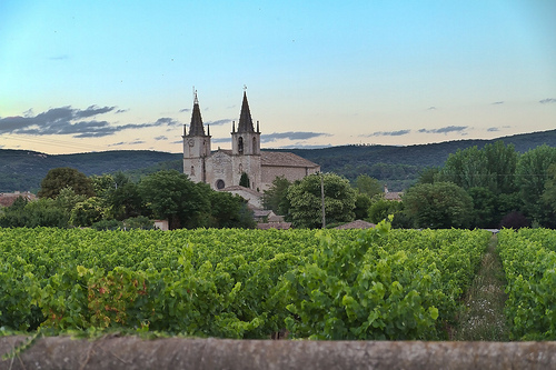 Goudargues au milieu des vignes by Patrick Car