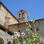 Draguignan - Dracenie par Dracénie Tourisme Var Provence - Draguignan 83300 Var Provence France