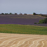 Jeux de couleurs provençal par Locations Moustiers - Valensole 04210 Alpes-de-Haute-Provence Provence France