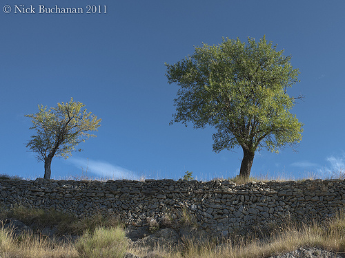 Summer smile of light in Provence by Bless the weather