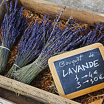 Bouquet de Lavande - Avignon Lavender by 6835 - Avignon 84000 Vaucluse Provence France