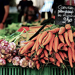 Carrots (carottes nouvelles plein champ) by 6835 - Aix-en-Provence 13100 Bouches-du-Rhône Provence France