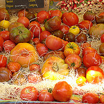 Tomates d'origine de Provence par UniqueProvence - Banon 04150 Alpes-de-Haute-Provence Provence France