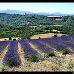 Relief de provence by domleg - Puimichel 04700 Alpes-de-Haute-Provence Provence France