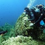 Grouper - Scuba diving at Pointe du Vaisseau, Port Cros by chris wright - hull - Port Cros 83400 Var Provence France