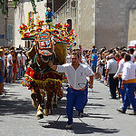 Fêtes de la Saint Eloi  par gi0rdan0 brun0 - Maillane 13910 Bouches-du-Rhône Provence France