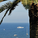 La côte d'azur : palmier, yatch et mer bleue par pizzichiniclaudio - Nice 06000 Alpes-Maritimes Provence France