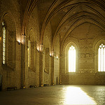 Palais des Papes - Grande Audience by Karschti - Avignon 84000 Vaucluse Provence France