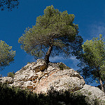 Randonnée dans les sentiers de la Sainte-Victoire par jenrif -   provence Provence France