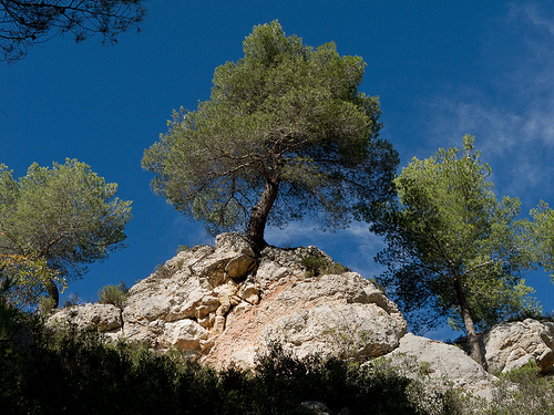 Randonnée dans les sentiers de la Sainte-Victoire par jenrif