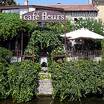 Cafe Fleurs Au Jardin d'Aubanel par lepustimidus - L'Isle sur la Sorgue 84800 Vaucluse Provence France