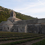 Au pied de l'Abbaye de Senanque by lepustimidus - Gordes 84220 Vaucluse Provence France