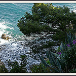 Rivage de Rayol by myvalleylil1 - Rayol Canadel sur Mer 83820 Var Provence France