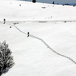 Montagne de Lure par J.P brindejonc - Lurs 04700 Alpes-de-Haute-Provence Provence France