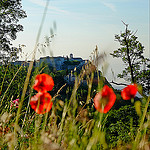 Gourdon dominant ses coquelicots par Andrey Tonnelier - Gourdon 06620 Alpes-Maritimes Provence France