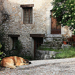 Repos au Gite de Chasteuil by Colin Bainbridge - Castellane 04120 Alpes-de-Haute-Provence Provence France