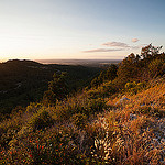 Randonnée dans les alpilles près des Baux by NeoNature - Les Baux de Provence 13520 Bouches-du-Rhône Provence France