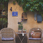 Jardin des chats by Dri.Castro - Lourmarin 84160 Vaucluse Provence France