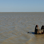 Etang des Launes par pizzichiniclaudio - Saintes Maries de la Mer 13460 Bouches-du-Rhône Provence France