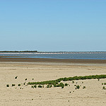 Etang des Launes en Camargue par pizzichiniclaudio - Saintes Maries de la Mer 13460 Bouches-du-Rhône Provence France