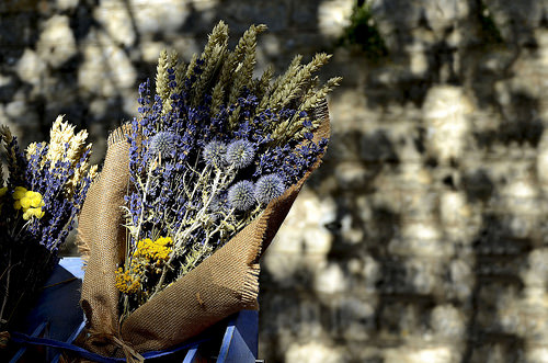 Bouquet de fleurs séchées : chardons lavande et épeautre - Monieux,  Vaucluse - We Love Provence